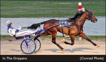 Ohio Sires Stakes Season Begins