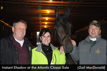 Sales Topper Ties Summerside Record