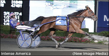 Faves Take Lifetime Dream Divisions Faves Take Lifetime Dream Divisions