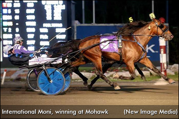 Colic Scare For Goodtimes Champ