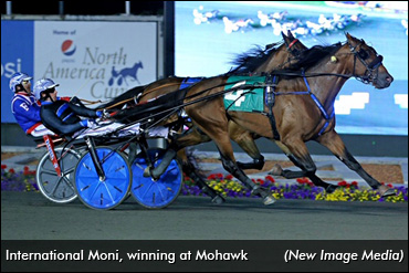 International Moni To Stand Stud