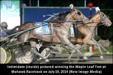 Blais Discusses Intimidate