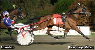 Intimidate Wins Crown Tune Up