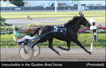Intouchable Repeats In Quebec