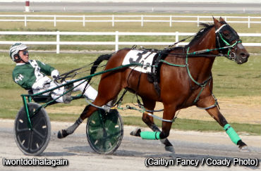 Dazzling Score For Iwontdothatagain