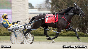 Brooms Out Boxing Day At Woodbine