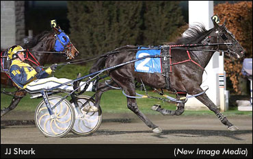 JJ Shark Repeats In Valedictory; Oceanview Bindi Doubles Up In Niagara