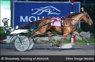 First Foal For JK Shesalady