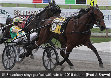 JK Shesalady Wins 2015 Debut