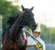 Cup Coronation A True Family Affair