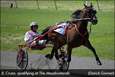 Trotters Prep For Elitlopp Playoff