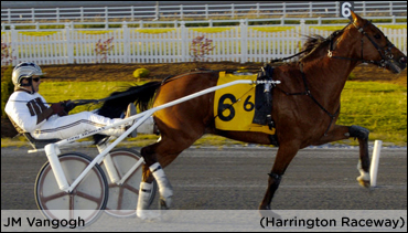 JM Vangogh Earns 64th Career Win