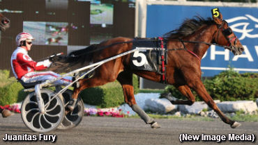 Repeat Winners In Gold Divisions