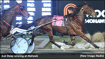 Just Daisy Dashes To Harvest Upset