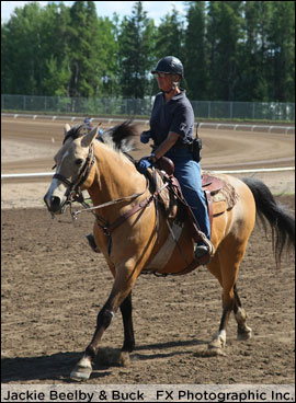 Beelby Keeping Grande Prairie Safe
