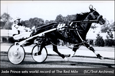 The Amazing Tale Of Jade Prince