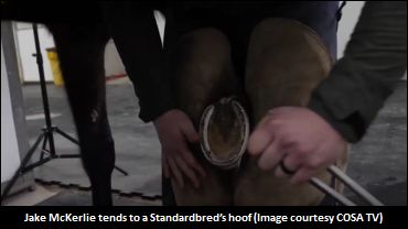 Don't Look Past The Blacksmith