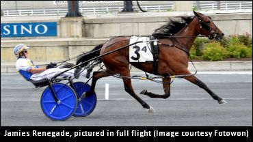 Filly Is Bringing The Family Together