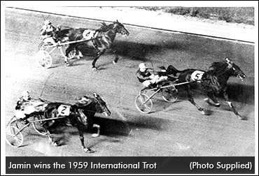 Flashback To First International Trot