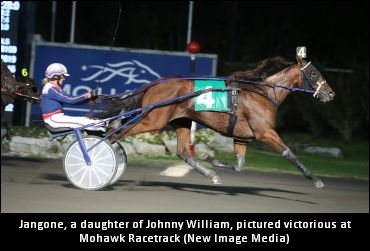 Johnny William To Kendal Hills