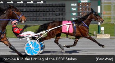 Trotting Fillies Shine In Delaware Prelims