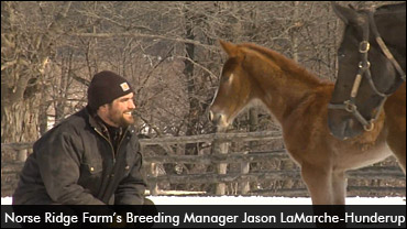 Heartbeat Of Ontario Horse Racing: Meet Anthony and Jason