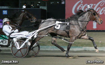 White Ruffles Series Underway 