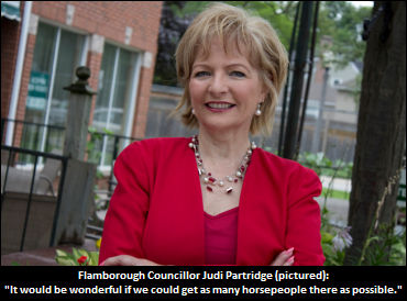 Councillor Calls On Horsepeople For Strong Presence