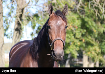 Jaya Bae Benefits From Extra Time