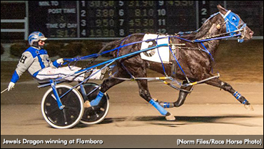 Jewels Dragon Jets At Flamboro