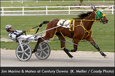 Marino Sidelined Indefinitely