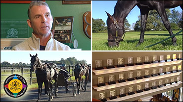The Breeders Crown's Best Says 'Bye' The Breeders Crown's Best Says 'Bye'