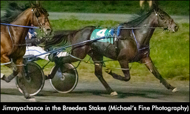 Johnston's Two Chances At Victory