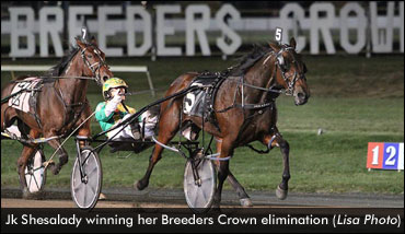 First Night Of Breeders Crown Elims
