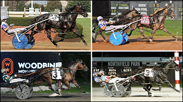 Johansson Pupils Wow In Qualifiers