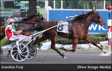 OSS Rookie Trotting Fillies Debut
