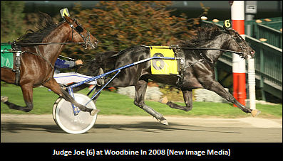 Judge Joe Primed For Upset?