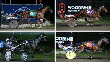Somebeachsomewhere, Graduate Set