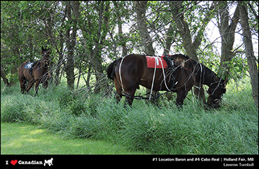 June's Calendar Photographer June's Calendar Photographer