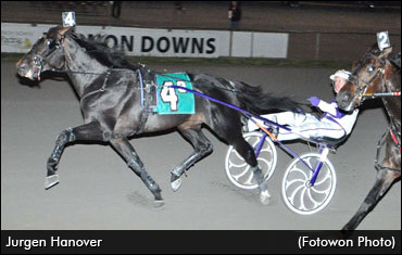 Husband & Wife's Hambo Contender?