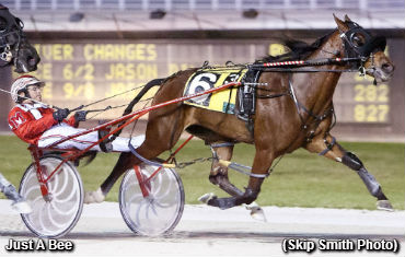 Pompano Feature To Just A Bee