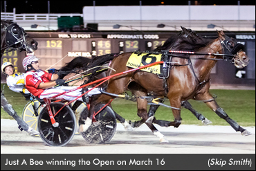 Just A Bee Wins Pompano Mares Open
