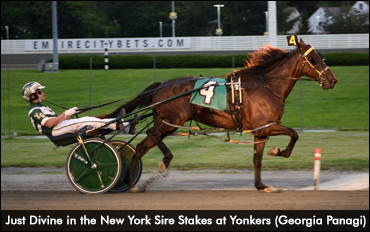 Huntsville Progeny Vie For NY Supremacy