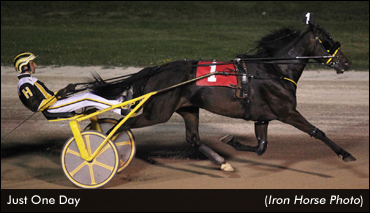 Just One Day Retired From Racing