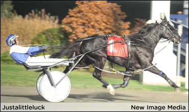 Steward Shooting For The Stars