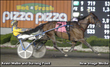 Updated: More On Wallis Suspension