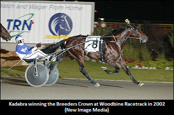 Kadabra Fillies Excel In Sarnia