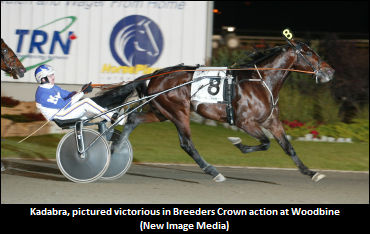 Liverman: Kadabra Is "Going To Stay"