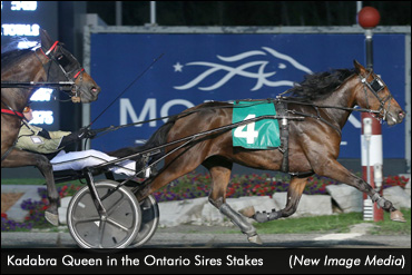 Kadabra Queen Earns Third Gold Win
