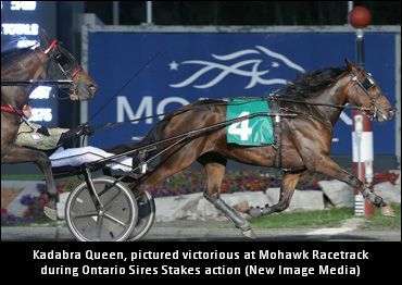 Small Filly Producing Big Feats